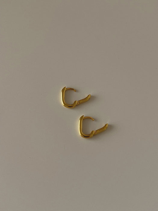 Small Oval Hoop Earrings